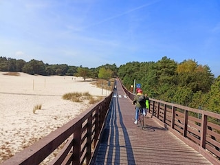 Umgebung