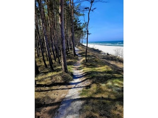Umgebung