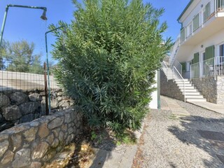 Appartamento per vacanze Marciana Registrazione all'aperto 4