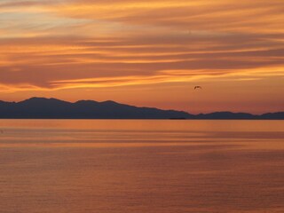 Appartamento per vacanze Marciana Ambiente 39