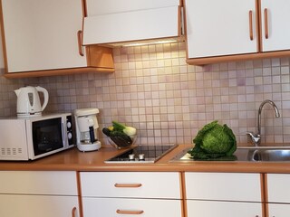 Appartamento per vacanze Mölten Caratteristiche 17