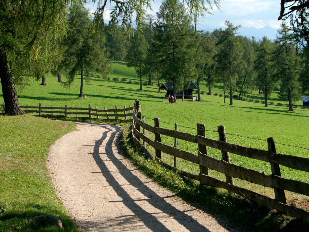 Wandern inmitten von Lärchenwiesen