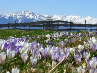 Appartamento per vacanze Mölten Ambiente 26