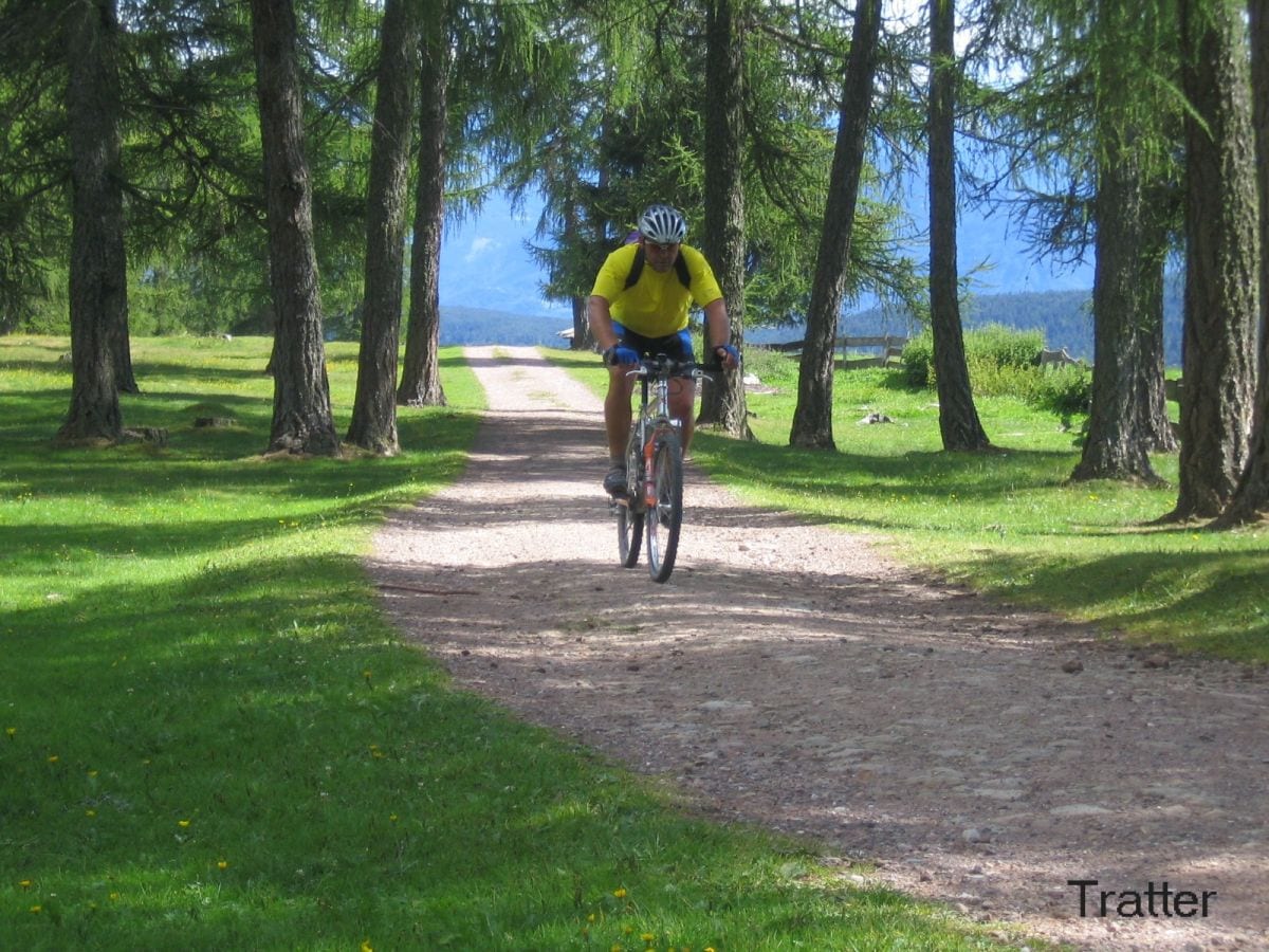 Mountainbiken mit Tourenvorschläge und Bikeverleih