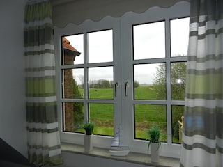 Ausblick ins Grüne