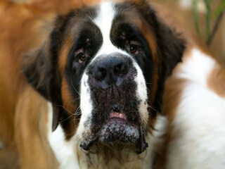 Maison de vacances Villanueva de la Concepción  29