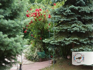 Holiday house Borek Outdoor Recording 15