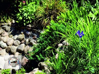 Maison de vacances Borek Enregistrement extérieur 1