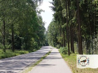 Vakantiehuis Borek Omgeving 37