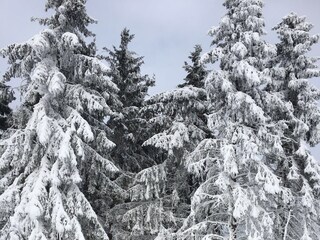 Appartamento per vacanze Winterberg Ambiente 22