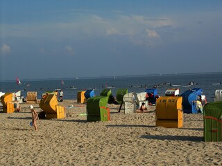 Wyker-Südstrand in 100m Entfernung