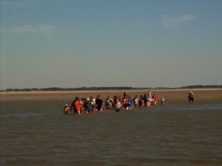 Wattwandern vor Föhr