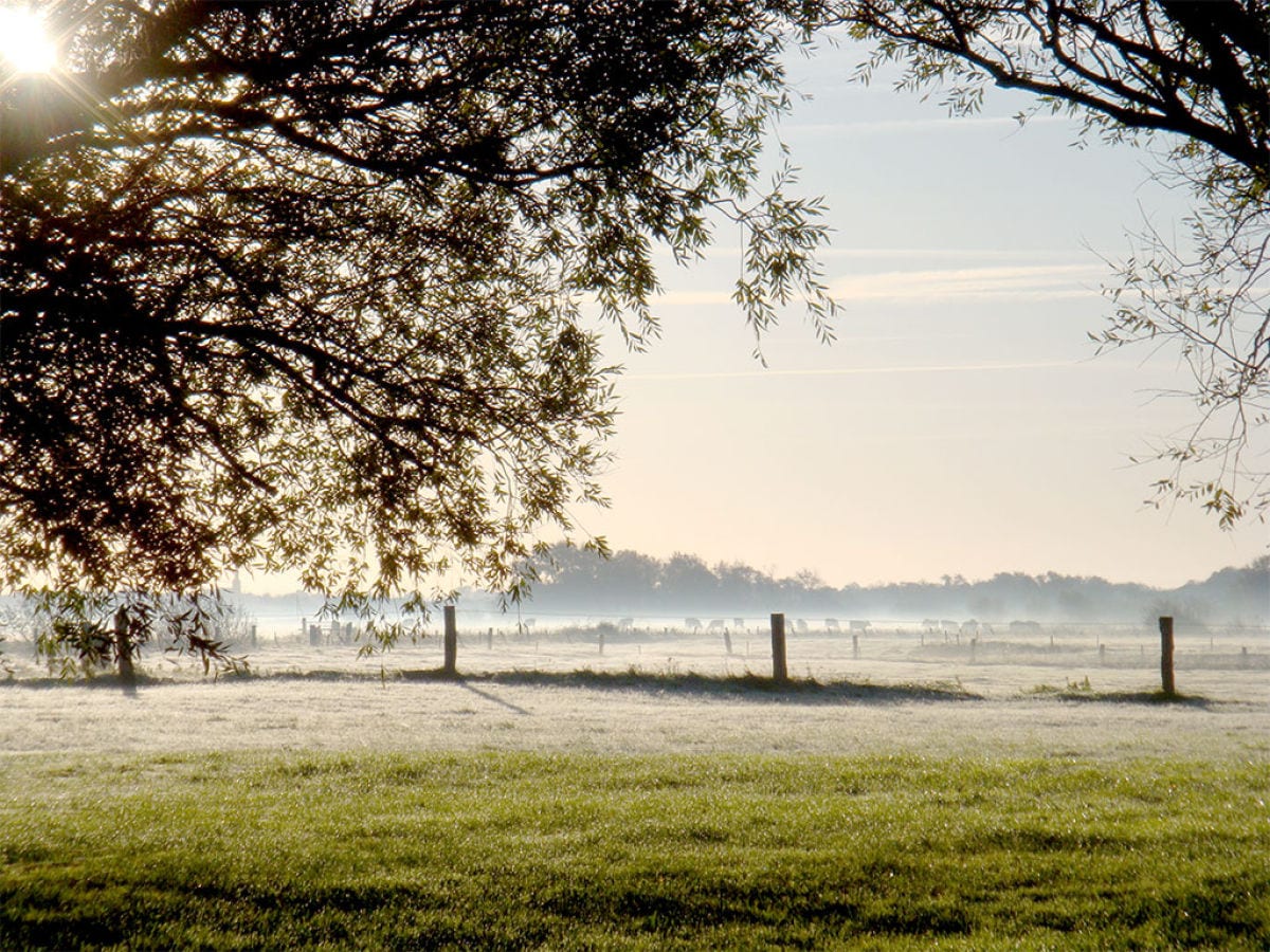 Herbstmorgen am Tholenhof