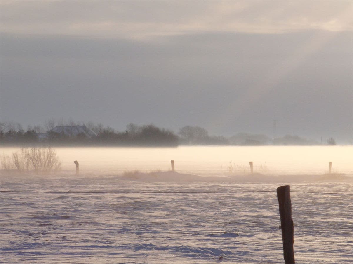 Nebel über den Weiden