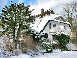 Aussenansicht Darßer Wald im Schnee