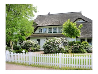 Aussenansicht des Hauses von der Waldstraße aus