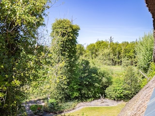 Ferienwohnung Ahrenshoop Außenaufnahme 5
