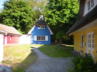 Ferienwohnung Ahrenshoop Außenaufnahme 3