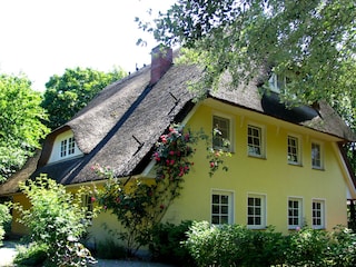 Ferienwohnung Ahrenshoop Außenaufnahme 2