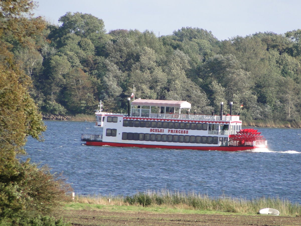 Eine romantische Fahrt über die Schlei nach Schleswig!