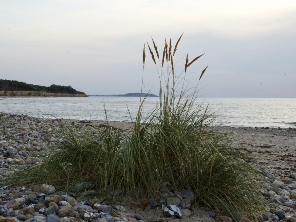 Der Tag geht zur Neige - im Hintergrund Hiddensee