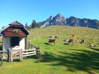 Ferienwohnung Berchtesgaden Umgebung 27