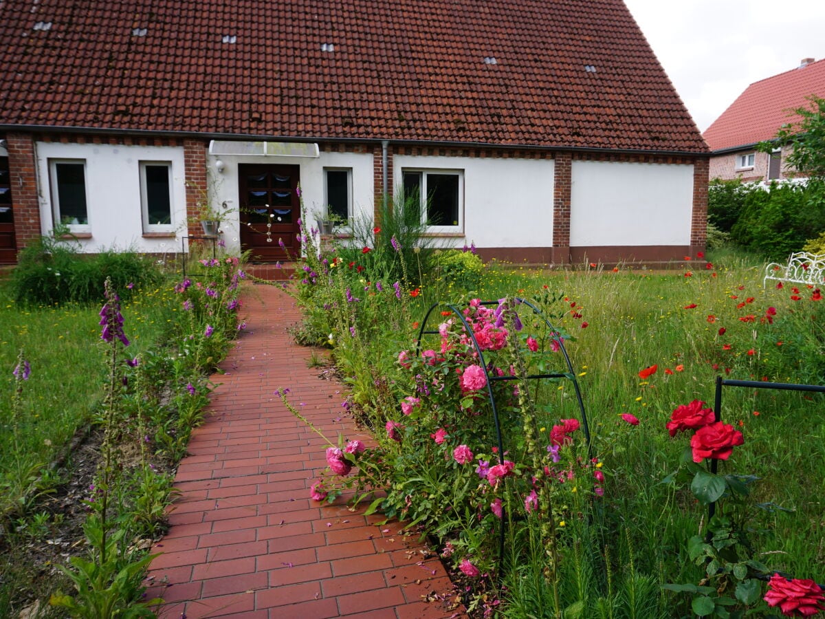 Ferienhaus Vielank Außenaufnahme 6