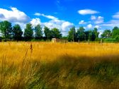 Blick zur Schafwiese hinter dem Haus