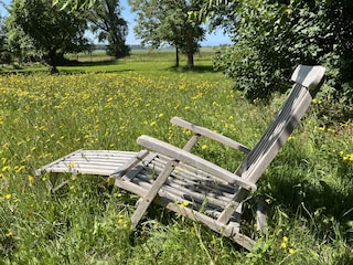 Rügen Natur Urlaub - kleines Ferienhaus - im Garten