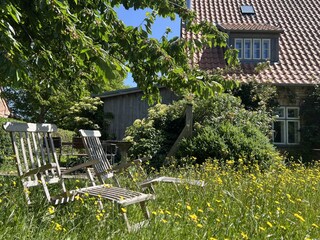 Rügen Natur Urlaub - kleines Ferienhaus - im Garten