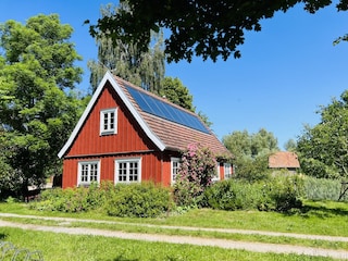 Rügen Natur Urlaub - kleines Ferienhaus - im Garten