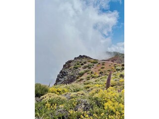 Casa per le vacanze Tijarafe Ambiente 33