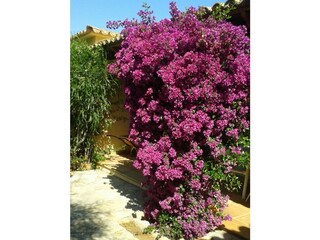 Casa per le vacanze Betlem Documento 23