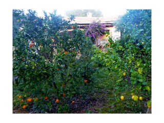 Casa per le vacanze Betlem Documento 25