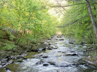 Maison de vacances Hasselfelde Environnement 27