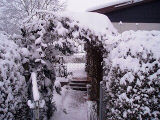 Ferienhaus Hasselfelde Außenaufnahme 6