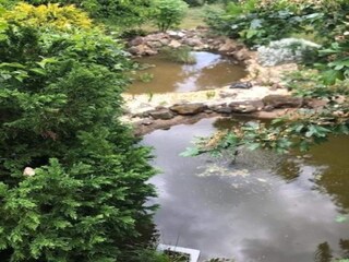 Vakantiehuis Hasselfelde Omgeving 19