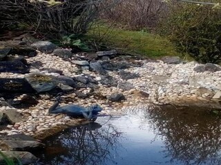 Casa per le vacanze Hasselfelde Ambiente 36