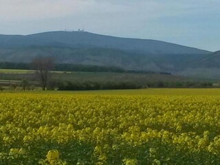 Casa per le vacanze Hasselfelde Ambiente 37