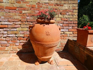 Bauernhof Buonconvento  28