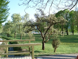 Appartamento per vacanze Mondsee Ambiente 22