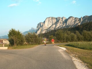 Appartamento per vacanze Mondsee Ambiente 24