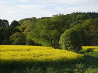 Appartamento per vacanze Lichtenau (Sachsen) Ambiente 35