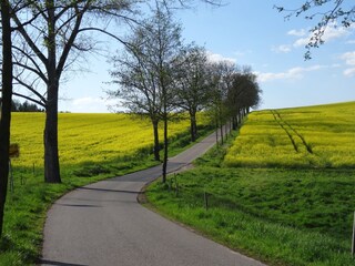 Vakantieappartement Lichtenau (Sachsen) Omgeving 40