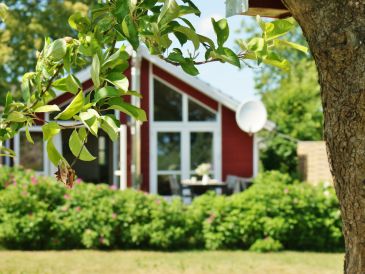 Ferienhaus Dänische Südsee