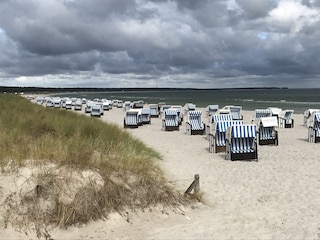 Prerow Nordstrand