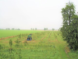 Vakantiehuis Stuer Omgeving 23