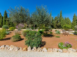 Villa Sencelles Grabación al aire libre 23