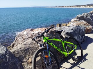 Damen MTB, Ihre Radtour zum Hafen