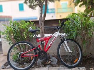 Mountain-Bike for youngsters
